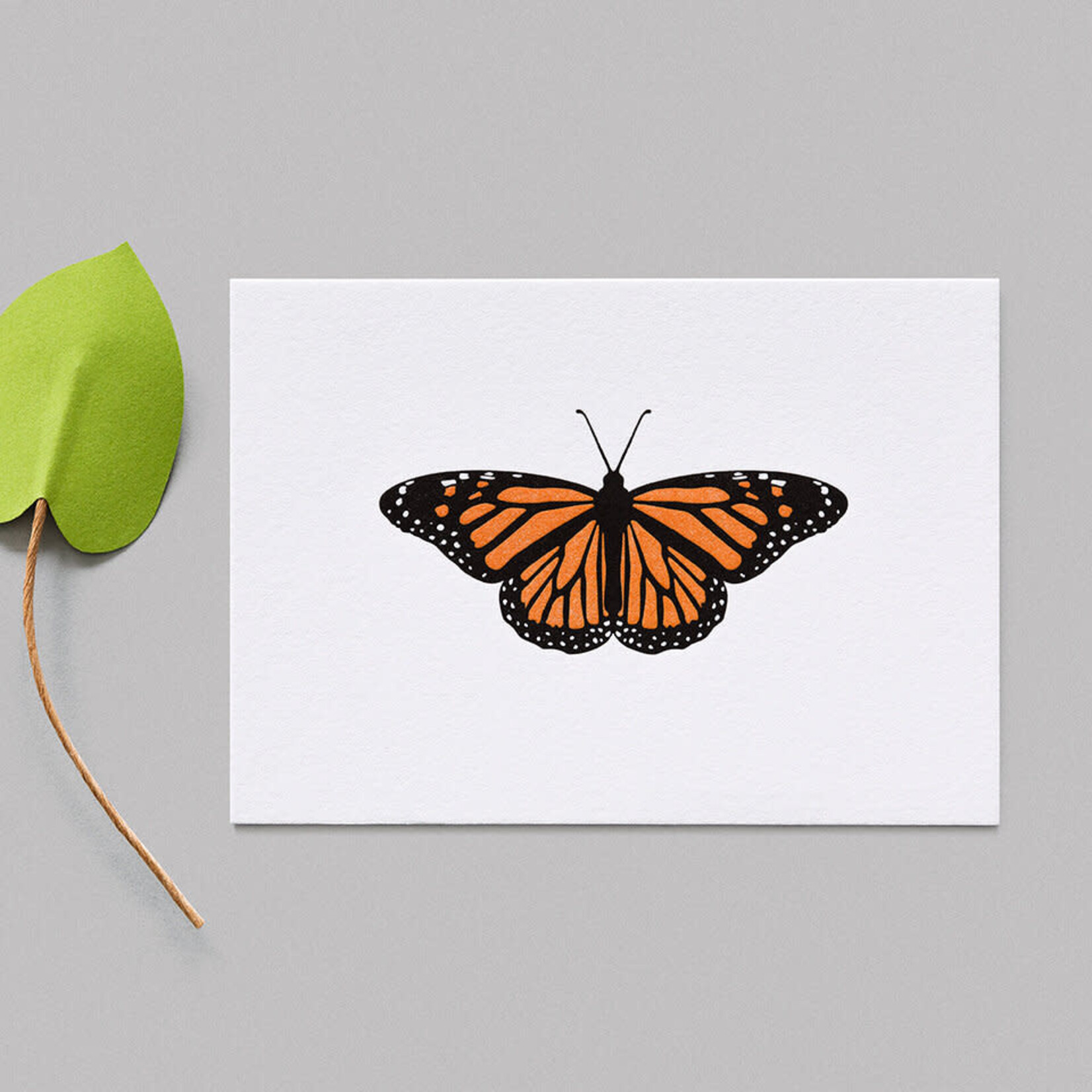 KoBold Schmetterling Monarchfalter - Karte