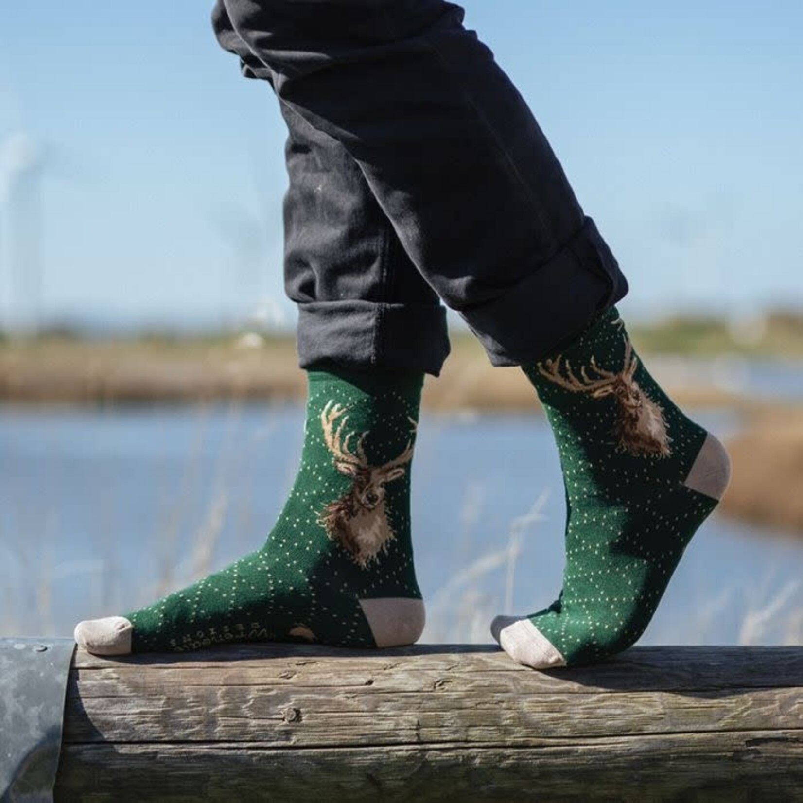Wrendale Design Socken für den Mann - Stag Men's Sock - Portrait of a Stag
