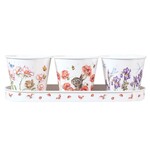 Wrendale Design Töpfe 3erSet Floral Herb Pots & Tray