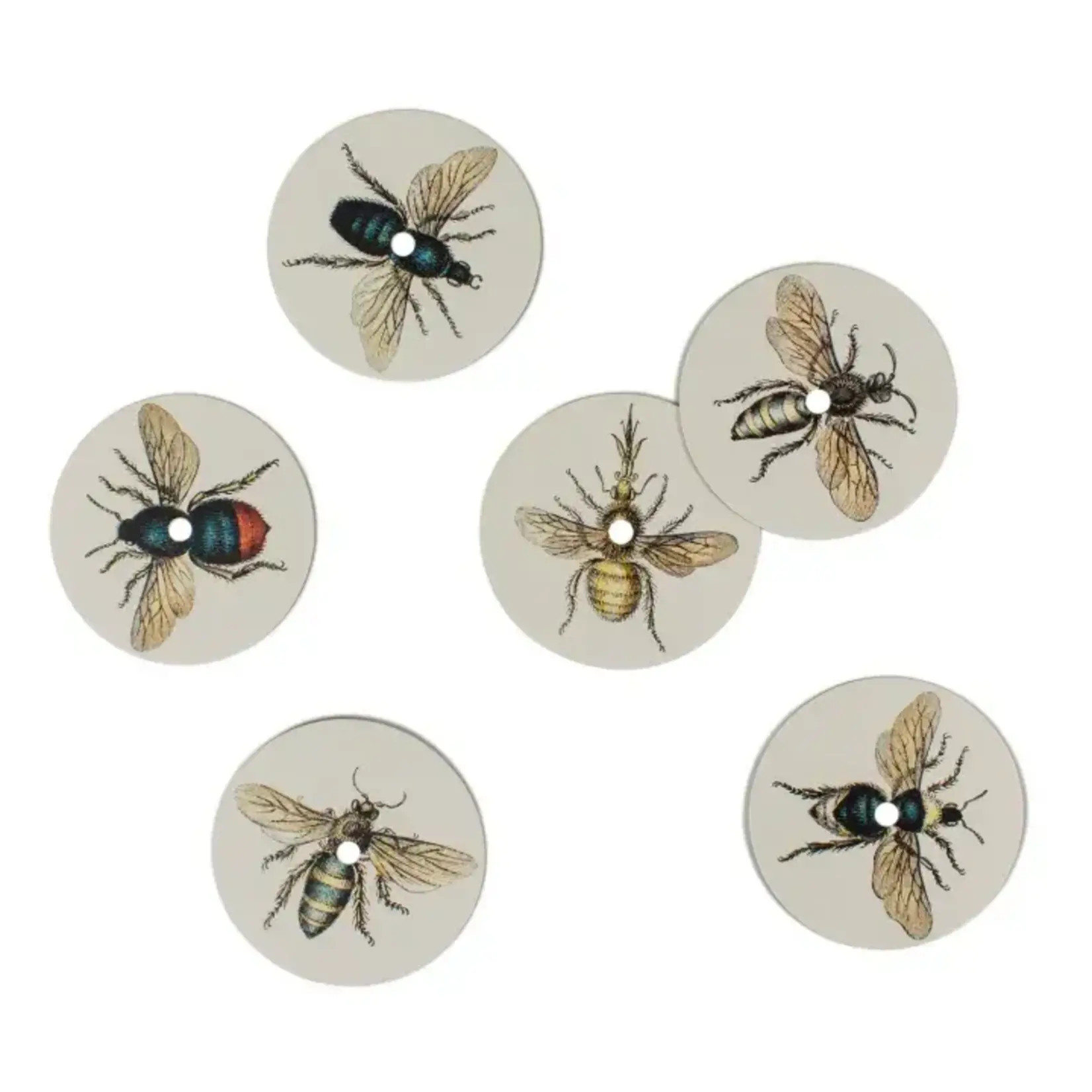 Fidea Design Bierdeckel mit Loch Summ-Summer - Insekten