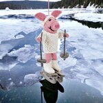 sense&purpose Filzschwein in Pulli auf Schlittschuhen