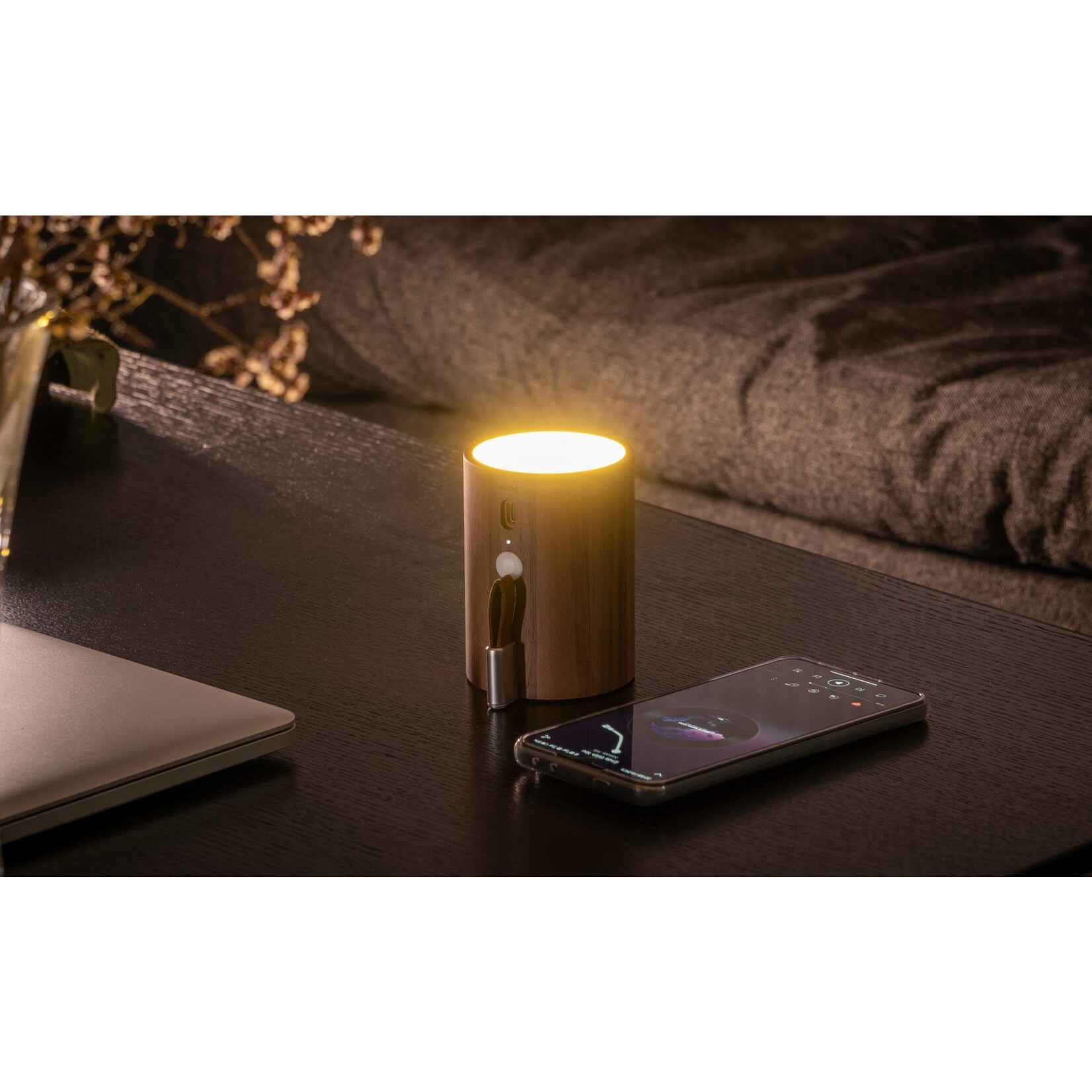 Gingko Design Drum Light Bluetooth Speaker - Walnut Wood