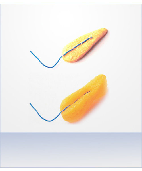 RONT RONT bâtonnets nasaux / 2 pièces