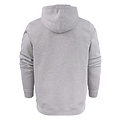 Printer Active Wear  PRINTER Essentials sweat à capuche fastpitch rsx gris/hommes