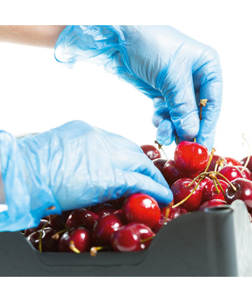 HygoStar Gants en vinyle IDEAL sans poudre, bleus