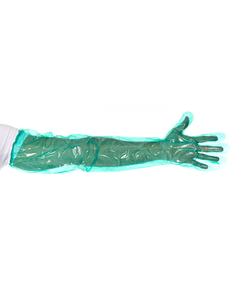 HygoStar LDPE handschoenen SOFTLINE LONG PLUS 90 cm met armelastiek - groen