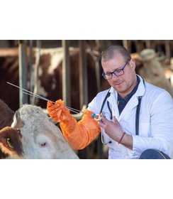 Gants en copolymère PE Premium Plus 90 cm - orange