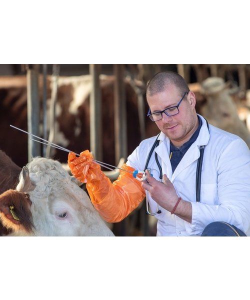 Care & Serve Gants en copolymère PE Premium Plus 90 cm - orange