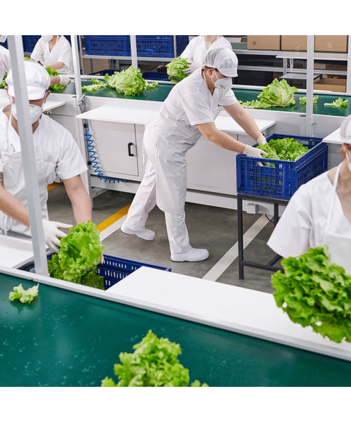 WOCK Sabot médical SECURLITE 01 - blanc