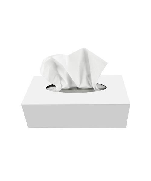 Bewima Mouchoirs en papier, 2 couches/ 20,5 x 21 cm