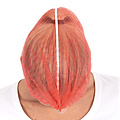 HygoStar Filet à cheveux Clip Cap détectable PP, 50 cm, rouge