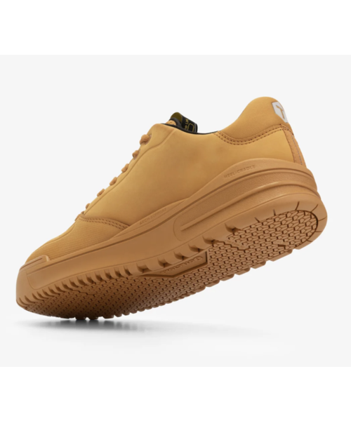 Totectors  Totectors Denton bas S1P, blé