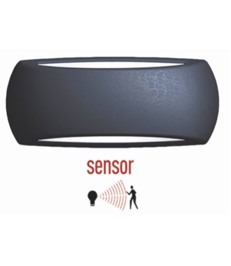 Franssen  Sensor gevel zwart + beweging