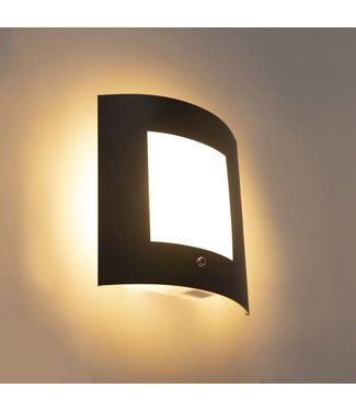 QAZQA Buitenwandlamp Emmerald 1 | Antraciet | Licht-donker Sensor