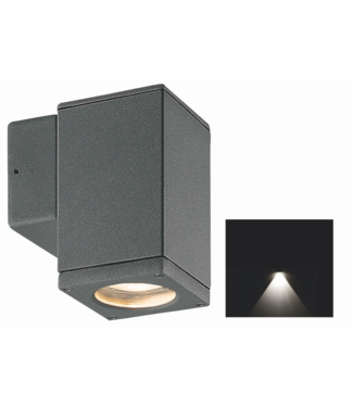 Franssen  Gevelspot Finmotion | down light