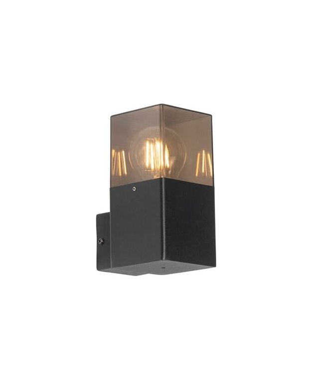 QAZQA Wandlamp Denmark | Zwart | met smoke kap | IP44 | E27