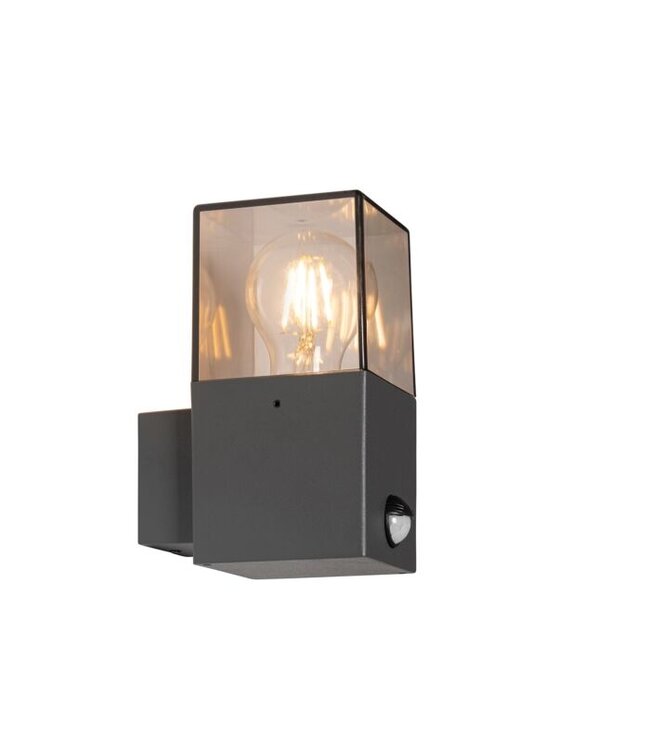 QAZQA Wandlamp Denmark | Antraciet | met bewegingsschakelaar | IP44 | E27