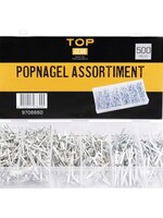 Cantonal Assortiment de rivets 500 pcs