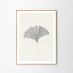 Purpers Exclusive Poster club Ana Frois Ginkgo leaf 30x40 (zonder lijst)