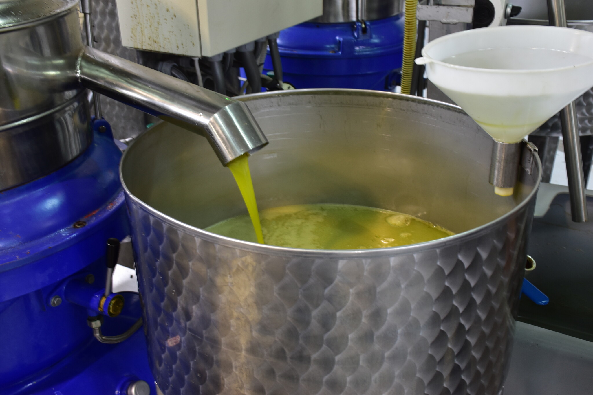 Insalata di pomodori extra virgin olive oil tree to table - Copy