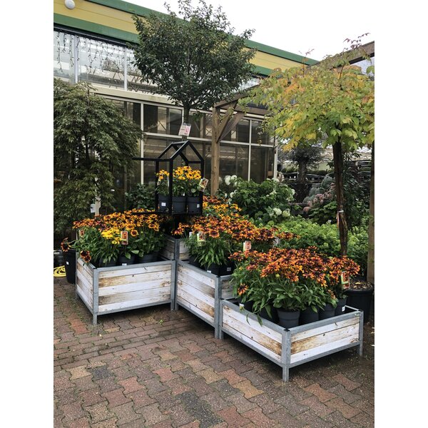 Huren Bricks Display Bloemen/Planten - Signing Schutting  - M