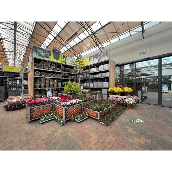 Bricks Display Bloemen/Planten - Signing Muur -L