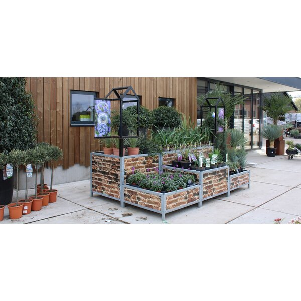 Huren Bricks Display Bloemen/Planten - Signing Oud Hollands Bont  - L