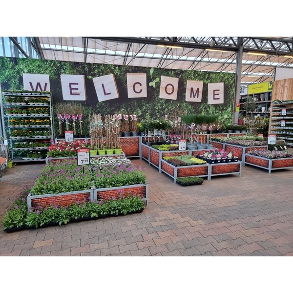 Huren Bricks Display Bloemen/Planten - Signing Muur - S