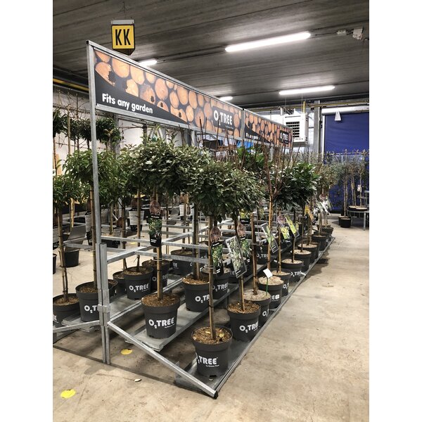 Huren Bricks Display Bomen - Bricks Tree