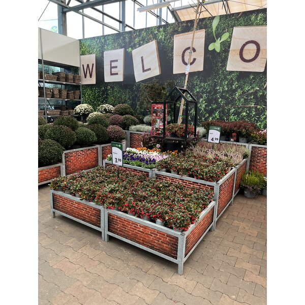 Huren Bricks Big Display Bloemen/Planten - Signing Muur - Big S