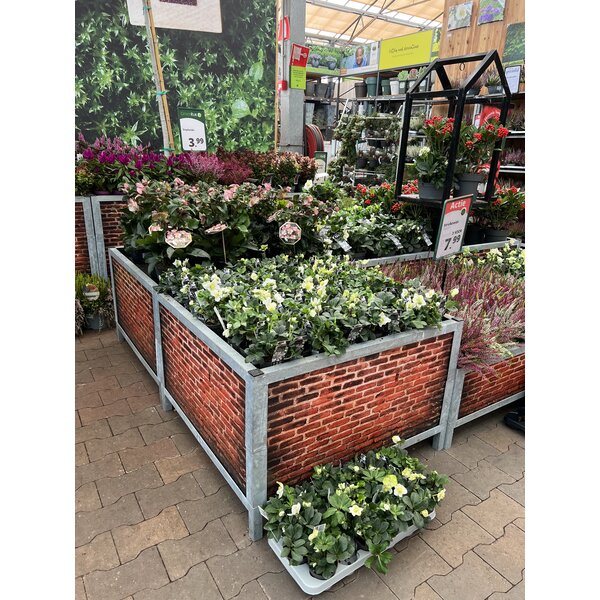 Huren Bricks Big Display Bloemen/Planten - Signing Muur - Big S