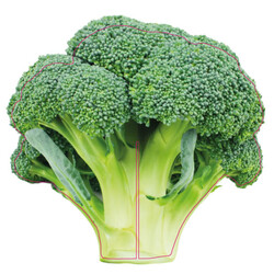 Bricks 3D Groente Broccoli