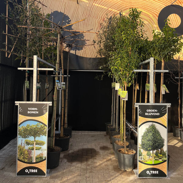 Boompresentatie Medium-A4 kaarthouder