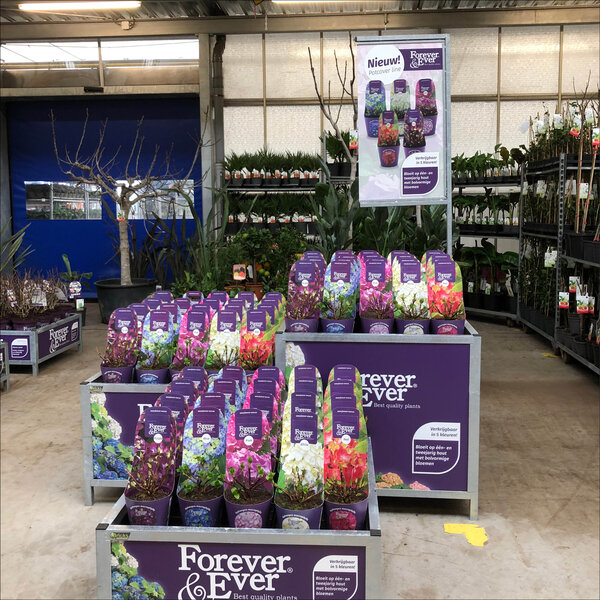 Bricks Accessoire Bloemen/Planten - Bricks Flag - Maatwerk signing