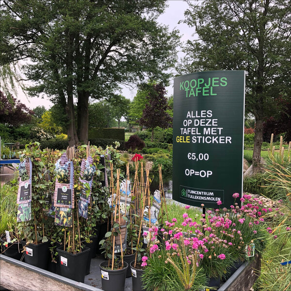 Huren Bricks Accessoire Bloemen/Planten - POS voet (zonder signing)