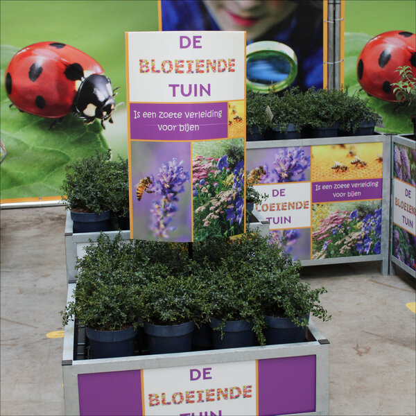 Huren Bricks Accessoire Bloemen/Planten - POS voet (zonder signing)
