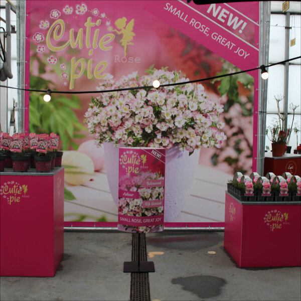 Huren Bricks Accessoire Bloemen/Planten - POS voet (zonder signing)