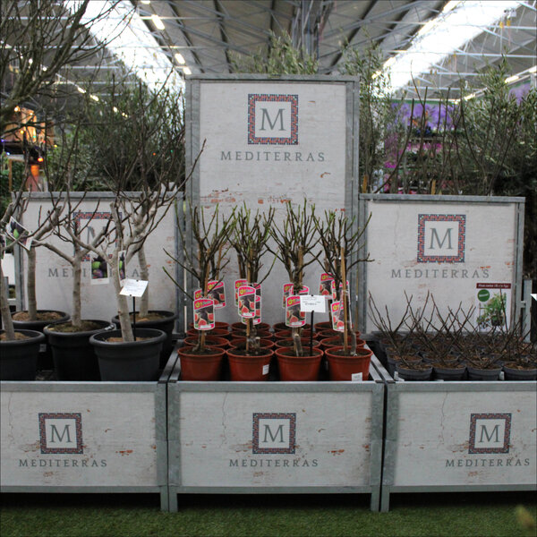 Bricks Accessoire Bloemen/Planten - Bricks Wall Small -  Maatwerk signing
