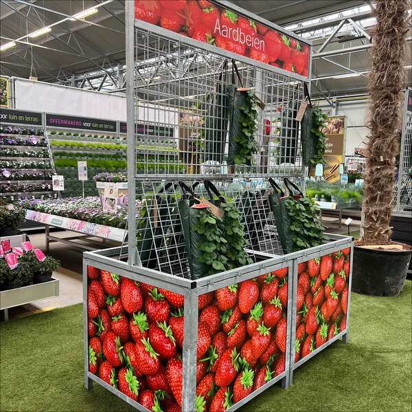 Bricks Accessoire Bloemen/Planten - Big Wanderella - Signing Rabat