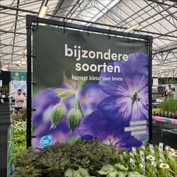 Bricks spandoekframe