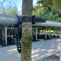 Agilo Boombinder (Voorverkoop)