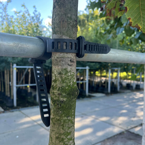 Agilo Boombinder (Voorverkoop)