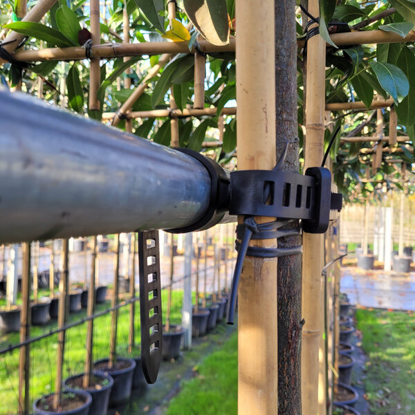 Agilo Boombinder (Voorverkoop)