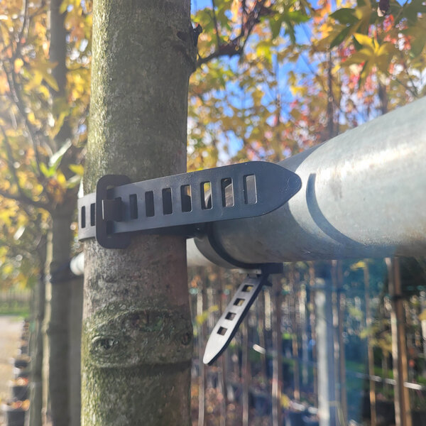 Agilo Boombinder (Voorverkoop)