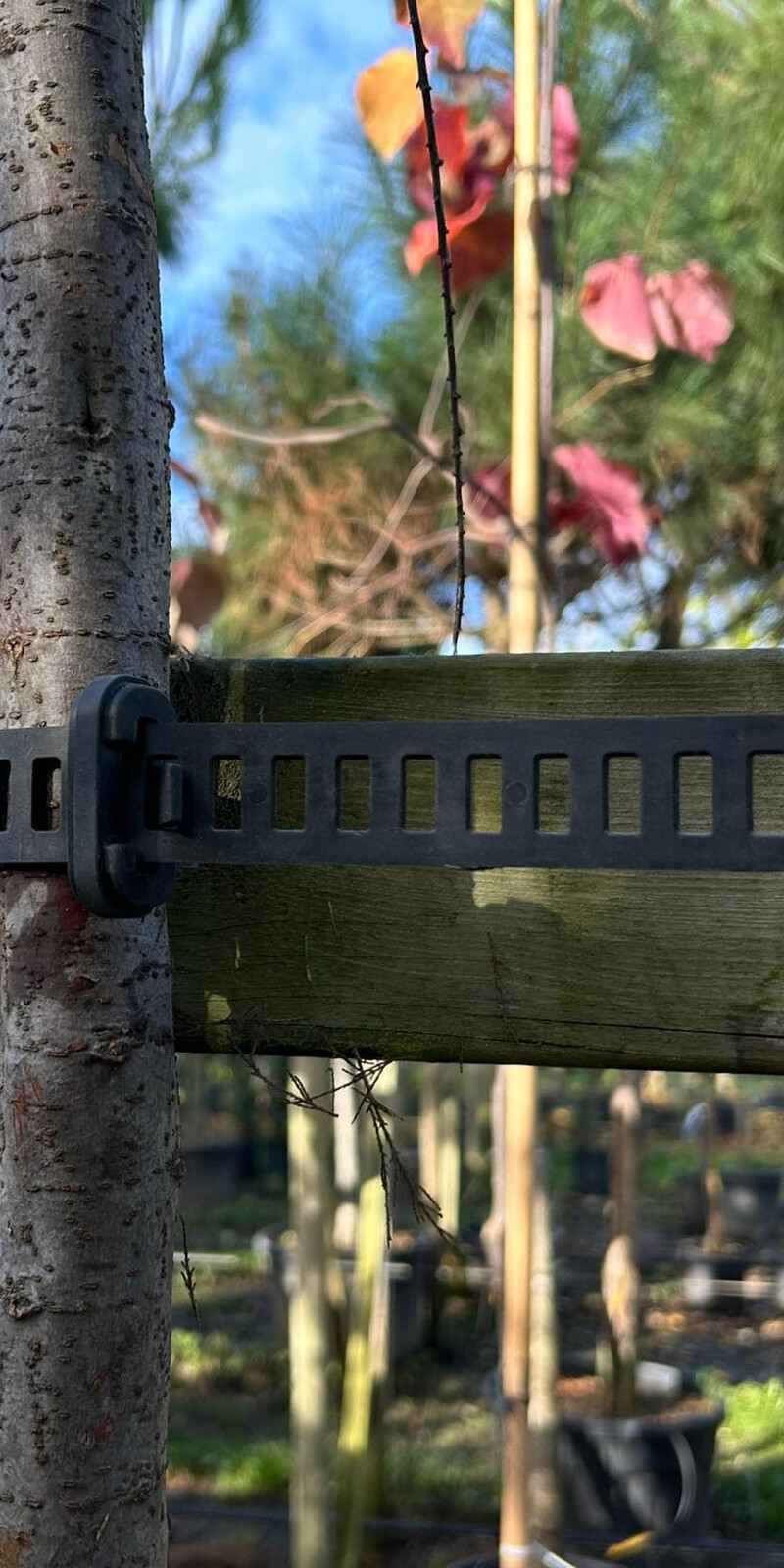 Agilo Boombinder (voorverkoop)