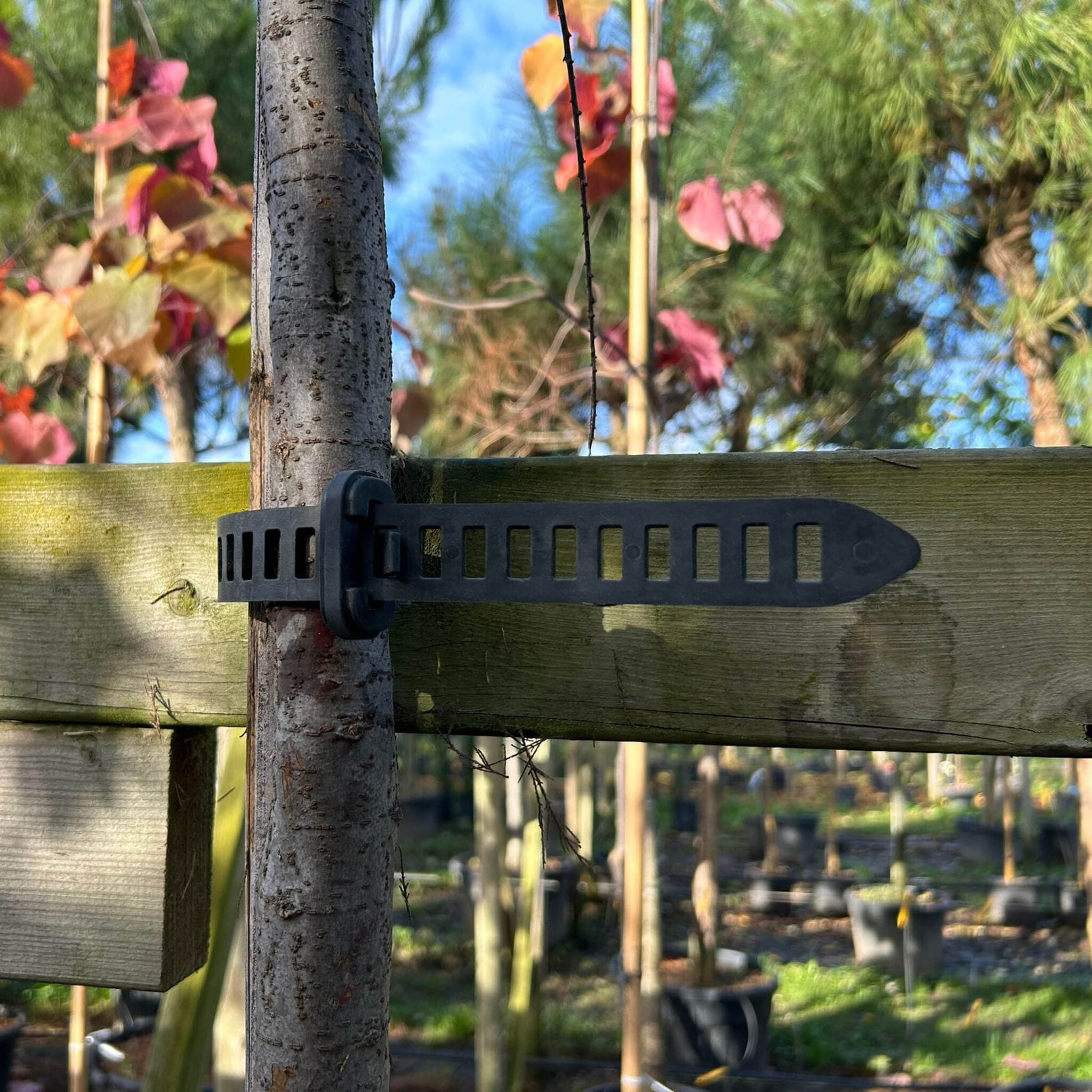 Agilo Boombinder (voorverkoop)