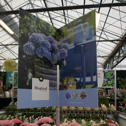 Bricks 3D molentje Magical