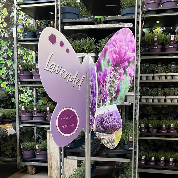 Bricks 3D molentje Vlinder/Lavendel