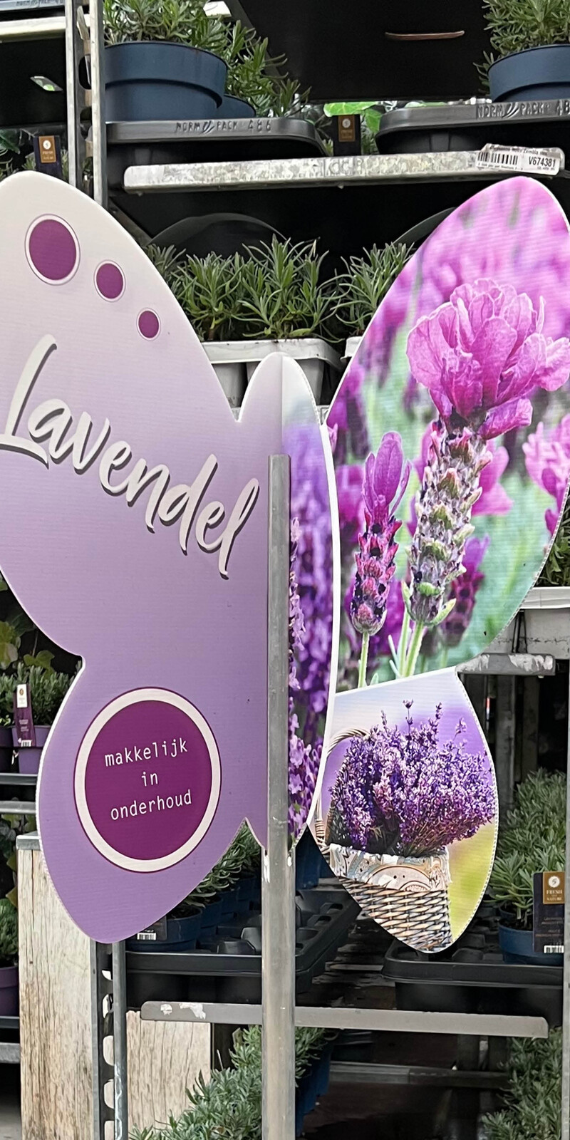 Bricks 3D molentje Vlinder/Lavendel