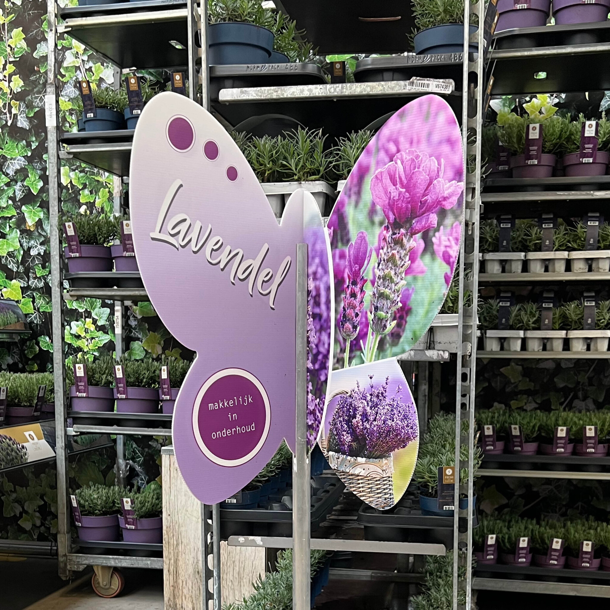 Bricks 3D molentje Vlinder/Lavendel